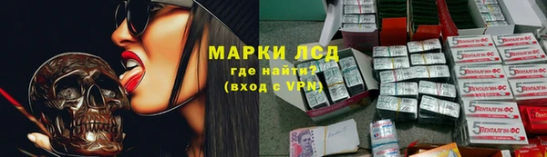 сатива Магас