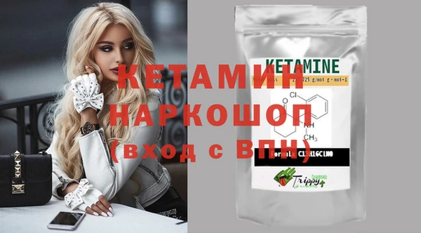 сатива Магас
