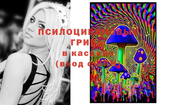 Альфа ПВП Медвежьегорск
