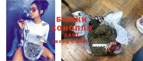 сатива Магас