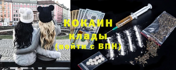 сатива Барнаул
