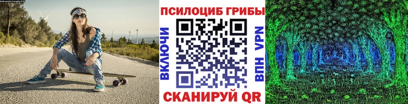 Галлюциногенные грибы Psilocybine cubensis Эртиль