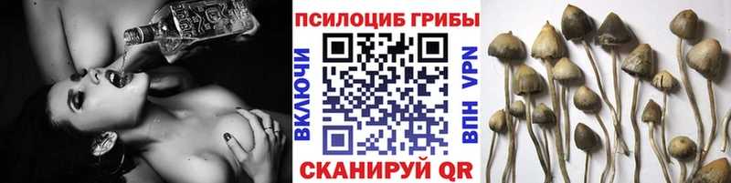 купить наркотик  ссылка на мегу ссылки  Псилоцибиновые грибы GOLDEN TEACHER  Эртиль 